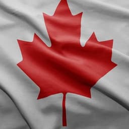 image-Canadian International Schools