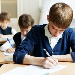 image-Private Language Schools and Institutes