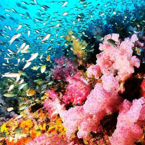 image-Teaching English in Asia